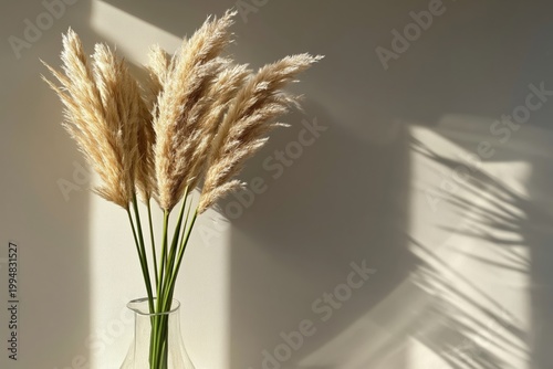Pampas Grass Arrangement in Sunlight Casting Shadows on Wall