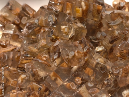 Close-up of Tu Sun Dong (Sipunculus nudus jelly), traditional Fujian snack with translucent gelatinous cubes