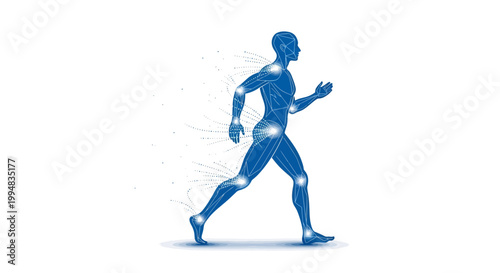 Human Anatomy in Motion: A dynamic illustration showcases the intricate network of joints and muscles as the human form strides forward, embodying health and wellness.