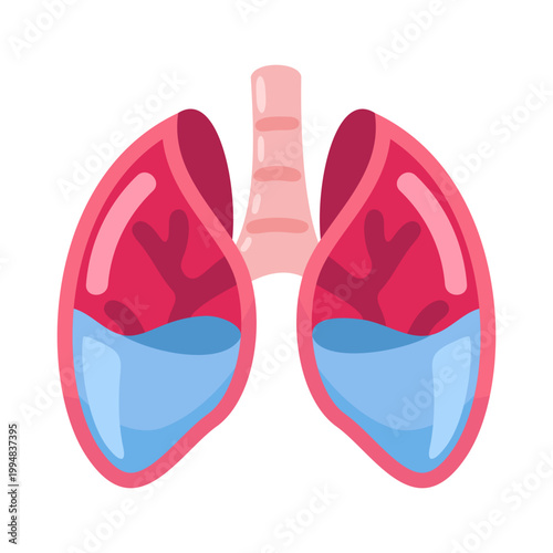 Illustration of Human Lungs with Detailed Anatomical Features for Educational Purposes