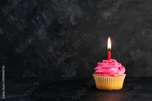 Cupcake With Pink Frosting and a Lit Candle on a Dark Background for a Celebr...