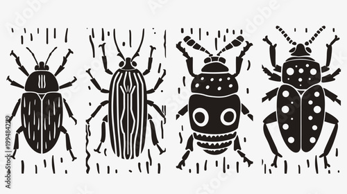 Four black and white beetle illustrations with unique shapes and patterns on display