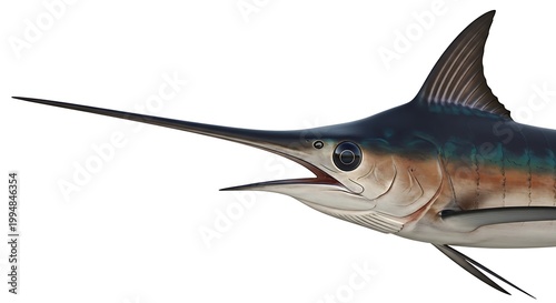 Close-up of a majestic marlin fish with detailed scales