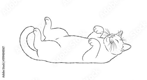 Simple line art drawing shows a happy domestic cat lying on its back with paws in the air in a playful and relaxed pose at home.