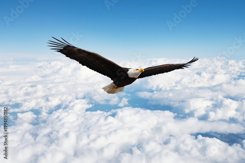 Eagle Flying Over Clouds in Blue Sky During Sunny Day in Nature