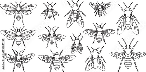 download (86)_traced