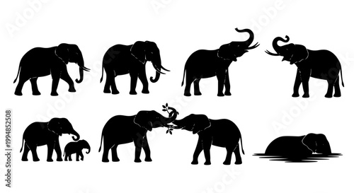 Black silhouette elephants interacting in a playful group