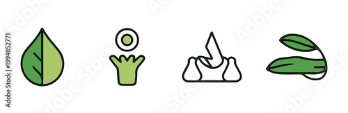 Organic seed germination and plant life cycle icons in soft green and black outline style