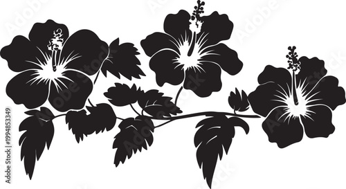 Vector illustration set of black and white flower silhouettes and nature plant elements featuring tree leaves, branches, and summer forest botany designs for decorative patterns