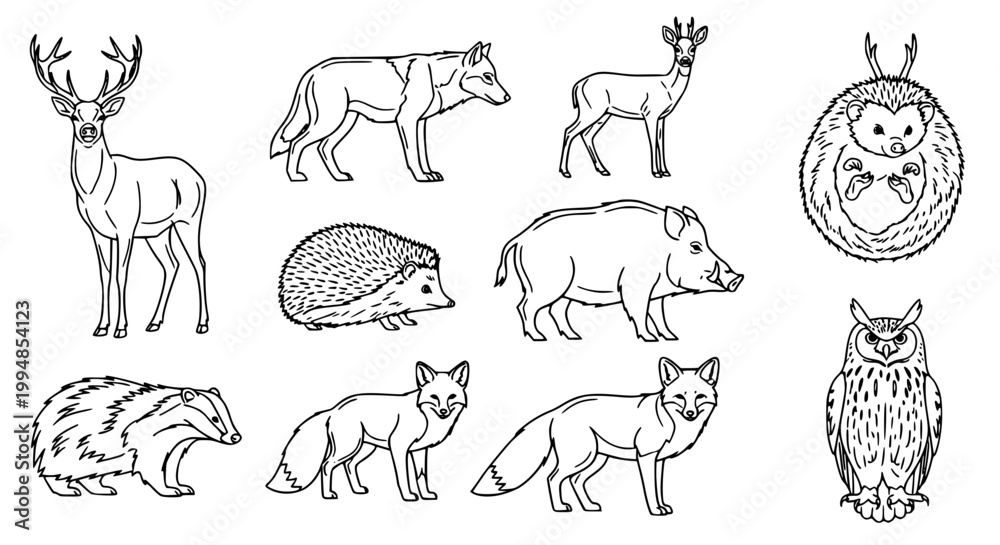 Fototapeta premium Black and white line illustration of various forest animals