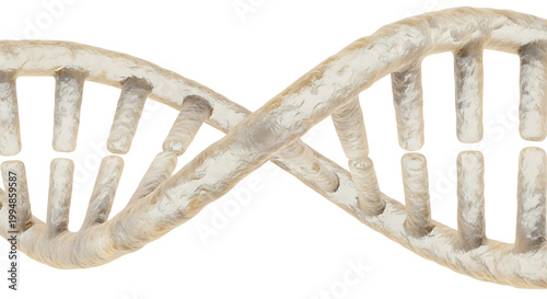 A detailed illustration of a DNA double helix structure in a minimalist style