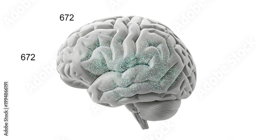 A detailed illustration of a human brain with a unique green textured area