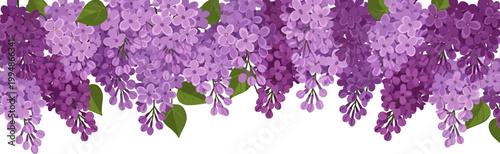 Beautiful purple lilac flower border vector illustration with green leaves on a white background for spring design