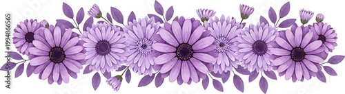 Horizontal vector illustration of purple daisy flowers and lavender leaves arranged in a decorative floral border garland design