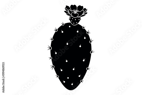 Silhouette of a black cactus fruit with spines and a flower on top