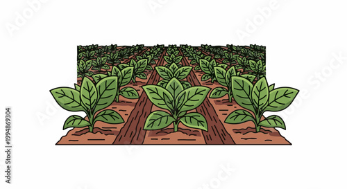 Rows of vibrant green plants cultivated in rich brown soil, extending into the distance