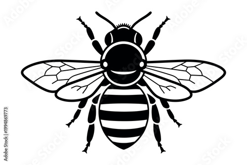 Vintage black and white illustration of a honeybee in flight