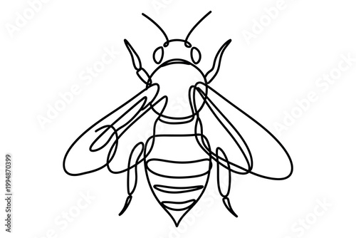 Detailed line drawing of a bee a black and white illustration