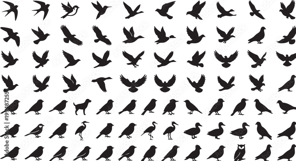 Fototapeta premium Bird Silhouettes Set Flying and Standing Poses Vector Collection