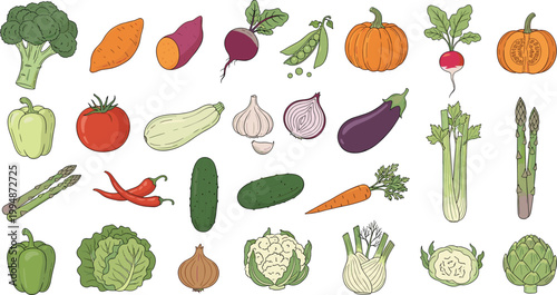 

Hand Drawn Fresh Vegetable Collection with Broccoli Sweet Potato Beetroot Pumpkin Pepper Tomato Garlic Eggplant Carrot Cucumber Cauliflower Artichoke Vector Illustration Set