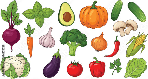 Colorful Hand Drawn Fresh Vegetable Collection with Beetroot Basil Avocado Pumpkin Cucumber Mushroom Broccoli Onion Chili Corn Cauliflower Eggplant Tomato Pepper Vector Set