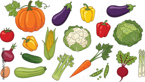 Colorful Hand Drawn Fresh Vegetable Collection with Pumpkin Eggplant Pepper Cauliflower Cabbage Tomato Corn Zucchini Celery Carrot Beetroot Asparagus Peas Vector Set