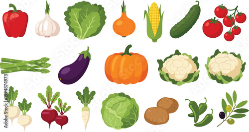 
Colorful Fresh Vegetable Collection with Pepper Garlic Cabbage Onion Corn Cucumber Tomato Eggplant Pumpkin Cauliflower Beetroot Potato Olive Vector Illustration Set