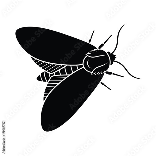 Flying moth black silhouette vector illustration top view isolated on white