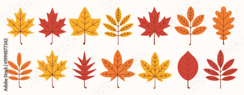 Autumn Leaves Collection Vector Illustration Keywords: autumn, fall, leaves, maple, oak, rowan