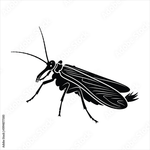 Stonefly black silhouette vector illustration side view isolated on white