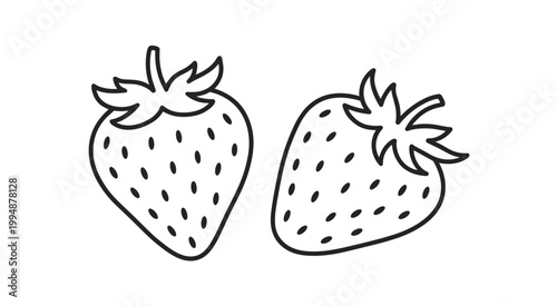 Two Outline Strawberries on White Background fruit
