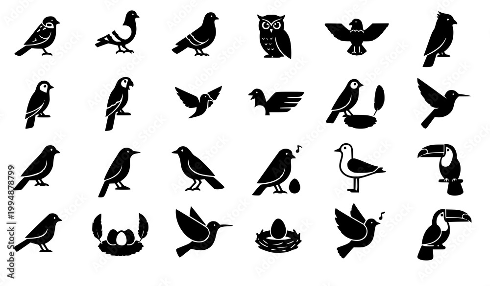 Fototapeta premium Minimal bird icon set wildlife feather wing nest vector isolated on white background