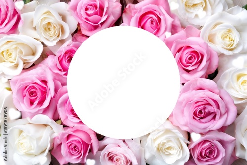 Beautiful Arrangement of Pink and White Roses With Petals in a Blank Space in...