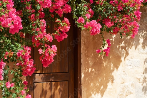 Bright Pink Flowers Cascade Around a Wooden Door at a Rustic Wall in a Sunny ...