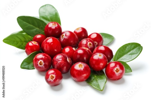 Fresh Cranberries With Green Leaves on White Background in a Simple Setup