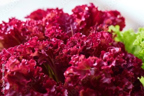 Cranberries Arranged With Green Leaves on a Flat Surface in a Kitchen Setting...