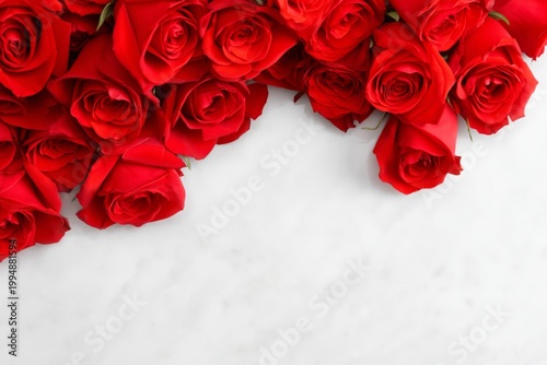 Roses in a Blue Vase Against a Bright Red Background