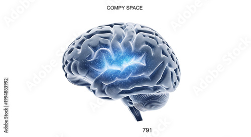 A blue and gray brain with a glowing center on a white background