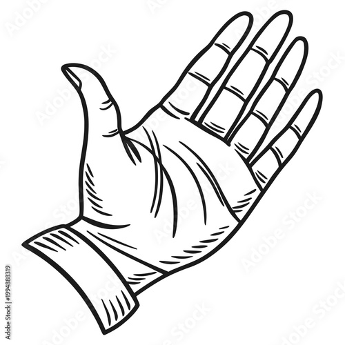 Human hand palm open line drawing sketch graphic with palm up, hand drawn