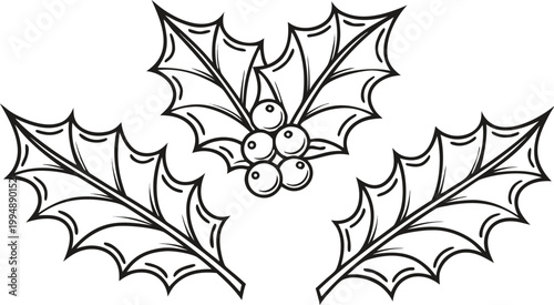 Black and white hand drawn holly leaves with red berries