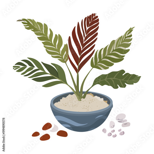 Quadro em tela A small leafy plant in a ceramic pot creates a sense of minimal sophistication a