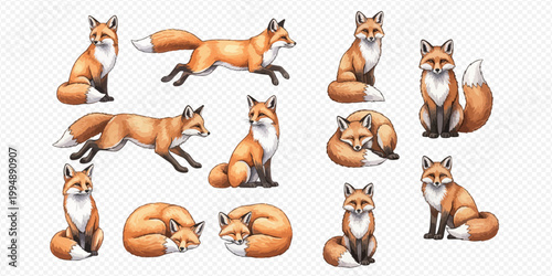 Set of cute cartoon red foxes in various poses, including sitting, running, and sleeping, on a transparent background.