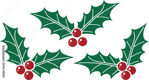 Flat style green holly leaves with bright red berries set