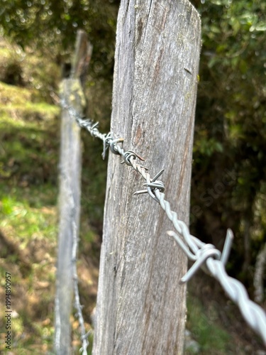 Alambre de puas en alambrada en poste de madera.