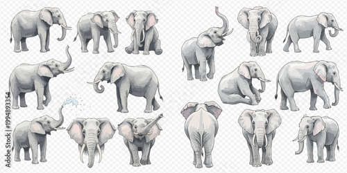 Collection of various elephant poses and actions on a transparent background, showcasing different perspectives of the majestic animal.