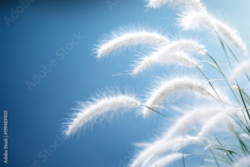 Grass Sways Under Bright Sky With Soft Focus and Vibrant Colors During Sunny Day