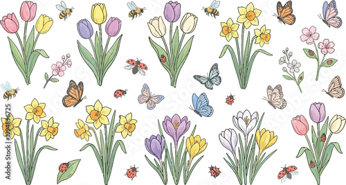 Spring floral set with tulips daffodils crocus and garden insects on transparent background.