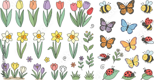 Spring motifs tulips daffodils crocuses ladybugs and butterflies illustrations on transparent background set.