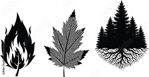 Fiery Leaf, Fingerprint Maple Leaf, Evergreen Forest Roots Vector Illustration
