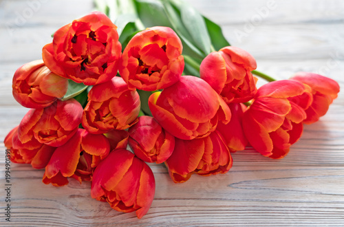 Red tulips bouquet on grey wooden background